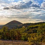 Colli Euganei - passeggiata solidale COSPE