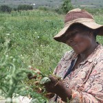 Naturasì e COSPE per sostenere l’agricoltura nel Lubombo